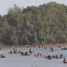 Prop de 400 participants van poder disfrutar d’una jornada de piragüisme al riu Segre, des de Torres de Segre fins a la Granja d’Escarp.