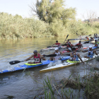 Un momento de la salida de la prueba, ayer en el río Cinca a su paso por Fraga.