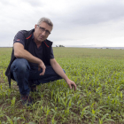 Melitó Padullés ha plantado 75 hectáreas de sorgo en Guissona.
