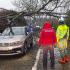 Los servicios de emergencia retiran un árbol caído sobre un turismo en Markaida, Bizkaia.