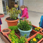 Alumnos riegan plantas con el agua sobrante de su comida. 