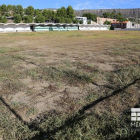 El estado del césped del campo de fútbol de Mequinensa. 