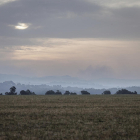 El humo del incendio de Lladurs, la semana pasada, que dificultaba la visibilidad en buena parte del término.