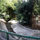 La bassa dels ànecs del parc municipal de Mollerussa