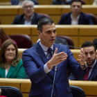 Pedro Sánchez participó ayer en sendas sesiones de control en el Congreso y en el Senado.