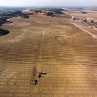 Vista aérea de la plantación de pistacheros de Castelldans.