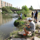 Els joves participants van poder practicar la pesca al marge esquerre de la canalització del riu Segre.