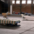 Algunas de las camas que quedan en el pabellón 3 de Fira de Lleida en el marco del dispositivo de atención a temporeros