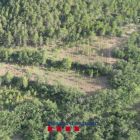 Imagen aérea de la plantación, situada en una zona boscosa próxima a Coll de Nargó.