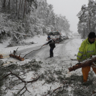 Els operaris treballen per retirar neu i arbres caiguts en una carretera de Navarra.