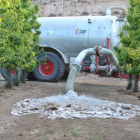Regant fruiters amb aigua de pou al Pla d'Urgell.