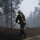 Un bomber de Güímar al bosc de Las Raíces.