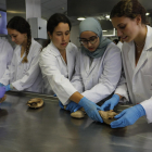 Alumnas de segundo de Medicina haciendo prácticas el pasado mes de septiembre.