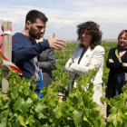 La consellera de Acción Climática, Alimentación y Agenda Rural, Teresa Jordà, durante una visita a una finca de viña de Verdú.