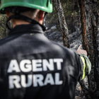 Un agent rural mostra l’impacte d’un llamp en un arbre que va originar l’incendi de Lladurs.