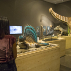 Exposición ‘Què tenim sota els peus?’, en el Museu de Lleida.