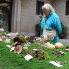 La exposición en el patio del IEI recopila más de 90 especies de setas de las comarcas leridanas. 
