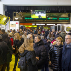 Milers de persones van visitar ahir el pavelló de l’oli de les Borges per adquirir o degustar l’or verd.