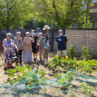 Un grupo de usuarios de la residencia y del servicio de Rehabilitación Comunitaria en el huerto.