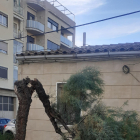 Un arbre cau sobre la vorera al carrer Palauet de la Bordeta