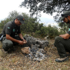 Dos Agentes Rurales comprobando los restos de un fuego de campo en la zona de la Ermita del Puig de Meià