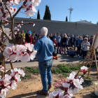 La floración en diferentes puntos del Segrià, un verdadero atractivo