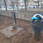 Una paperera per a excrements de gos plena fins a dalt i restes de botelló en unes escombraries, ahir.