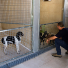 El dinamitzador del Refugi de Peluts de Lleida amb gossos del centre.
