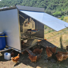 La caravana de gallines de la granja La Bana, al Pallars Sobirà, on dormen i ponen.