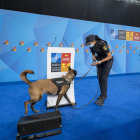 Una agente con un perro adiestrado busca explosivos en IFEMA Madrid de cara a la cumbre de la OTAN.
