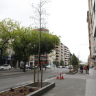 Arbres morts a la nova Prat de la Riba de Lleida