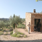 Entitats ecologistes promouen un projecte de producció ecològica als oliverars de les Garrigues i les Terres de l'Ebre
