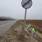 Aplicació ahir de fosfur d’alumini en un tram de carretera entre Seròs i Aitona.