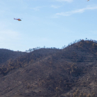 Un foc va calcinar a l’abril 400 hectàrees a la Franja i el Baix Segre.