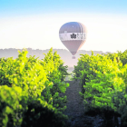 Globus aerostàtic per recórrer les vinyes des de l’aire.