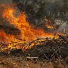 La Fiscalia investiga l'incendi de Castelló que va cremar 4.700 ha