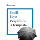 Després de la tempesta