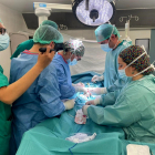 Momento de la primera intervención para implantar una prótesis de pene en el Hospital Joan XXIII de Tarragona.
