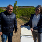 Roqué y Porta muestran las marcas que el pedrisco deja en los granímetros en un finca de Sarroca.