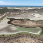 La última laguna permanente de Doñana está casi seca. 