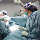 Imagen de archivo de facultativos realizando un trasplante. 