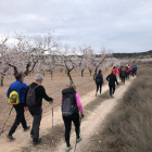 La caminada entre ametllers florits que es va celebrar ahir a Castelldans.