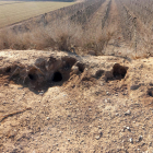 Caus de conill en una zona agrícola de Ponent