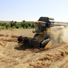 El ministeri situa en poc més de 14.400 euros la renda neta de les explotacions cerealístiques.