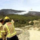 Agents Rurals xifren en 453 les hectàrees afectades per l'incendi de la Franja