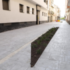 Minijardins al carrer Girona