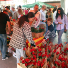 Lleida responde de manera masiva al llamamiento para celebrar la festividad de Sant Jordi a la ciudad