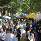 L’Eix Literari de Lleida, de l’avinguda Francesc Macià a la rambla Ferran, es va col·lapsar de públic ahir en les hores punta de la diada.