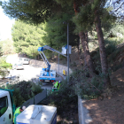 Los trabajos de saneamiento de los pinos en Mequinensa. 