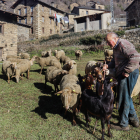 Crisis en el llano y el Pirineo  -  Martí Escudé es un pastor de la EMD de Civís, en el municipio de Les Vall de Valira, a quien al igual que otros ganaderos le preocupa la falta de pastos y el encarecimiento de los precios. De la lana de las ov ...